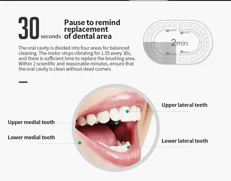 Xiaomi Electric Toothbrush Powerful Sonic USB Waterproof Smart Rechargeable Toothbrush Washable 6 Gear 4 brush heads Whiten New