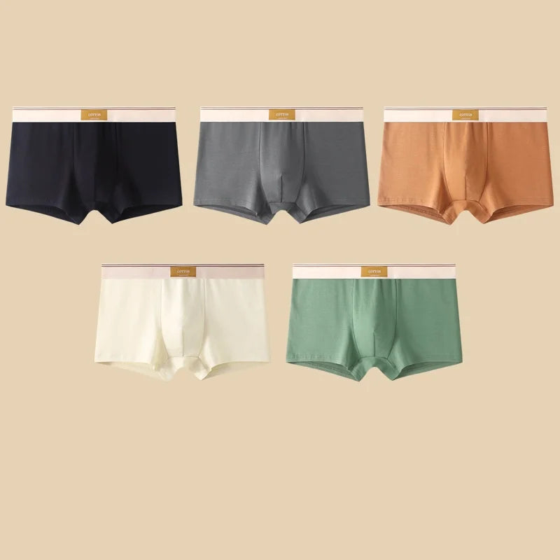 5Pcs/Lot Men Underwear Pure Cotton Boxer Shorts Hombre Panties Man Breathable Underpants Sexy Sports Comfort Male Boxers L-4XL